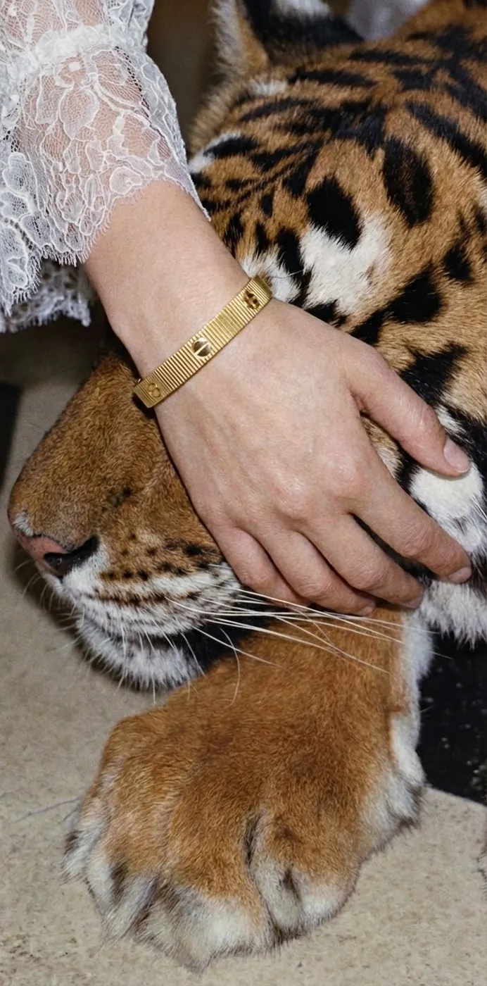 A hand wearing a gold bracelet resting on a tiger’s paw